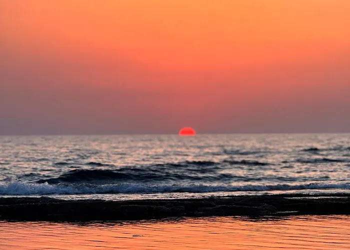 Apollo24 Apartamento *